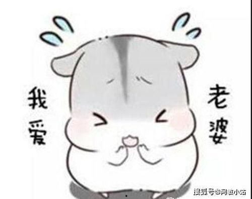 男女丑事搞笑段子,笑料百出，尴尬瞬间大盘点