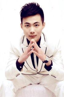 董岱个人资料,才华横溢的青年才俊，引领时代潮流的先锋人物